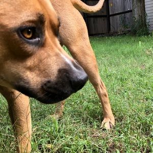 Meet your Posher, Ben